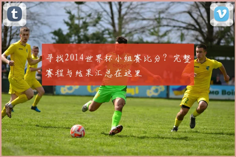 寻找2014世界杯小组赛比分？完整赛程与结果汇总在这里