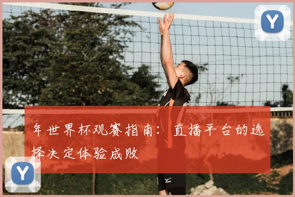 年世界杯观赛指南：直播平台的选择决定体验成败